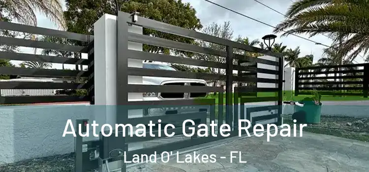 Automatic Gate Repair Land O' Lakes - FL