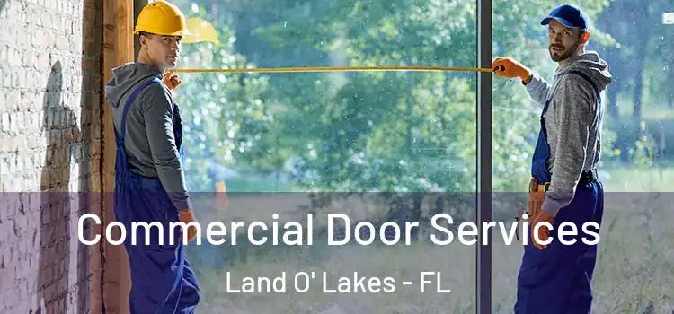  Commercial Door Services Land O' Lakes - FL