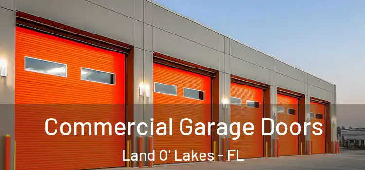  Commercial Garage Doors Land O' Lakes - FL