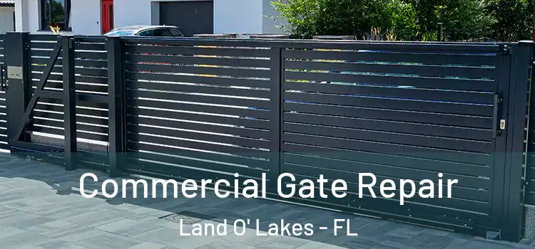  Commercial Gate Repair Land O' Lakes - FL