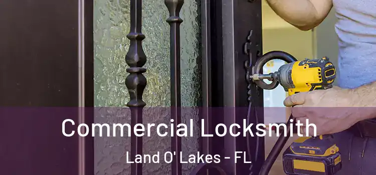 Commercial Locksmith Land O' Lakes - FL