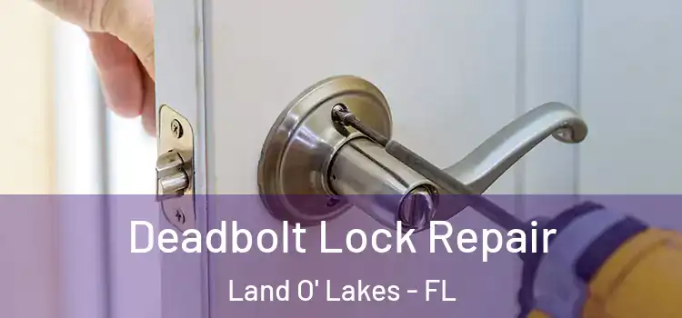  Deadbolt Lock Repair Land O' Lakes - FL