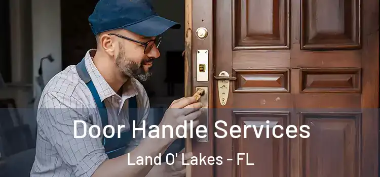 Door Handle Services Land O' Lakes - FL