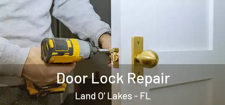  Door Lock Repair Land O' Lakes - FL