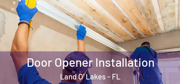  Door Opener Installation Land O' Lakes - FL