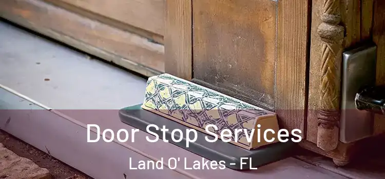 Door Stop Services Land O' Lakes - FL