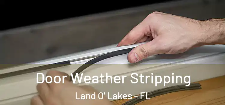  Door Weather Stripping Land O' Lakes - FL