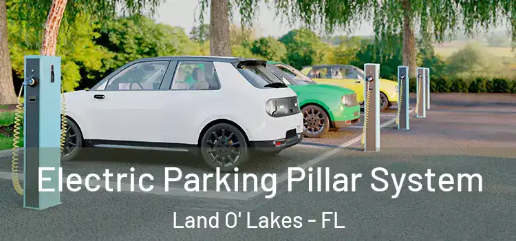  Electric Parking Pillar System Land O' Lakes - FL