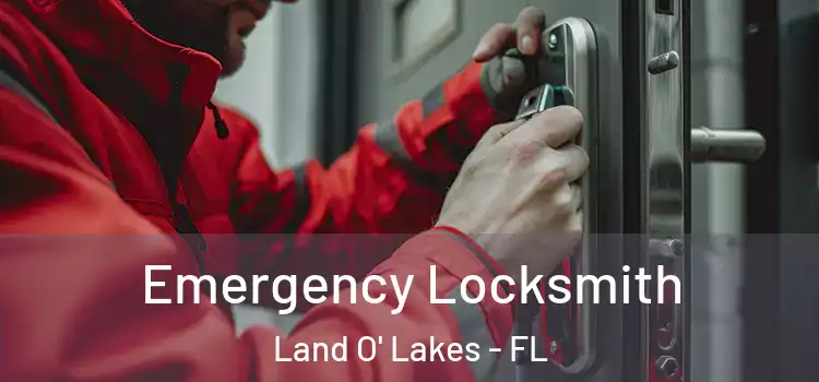  Emergency Locksmith Land O' Lakes - FL