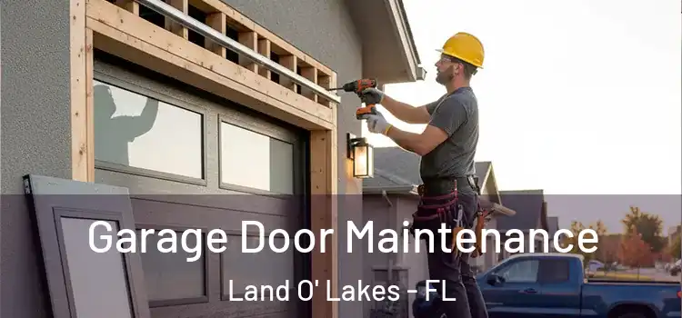  Garage Door Maintenance Land O' Lakes - FL
