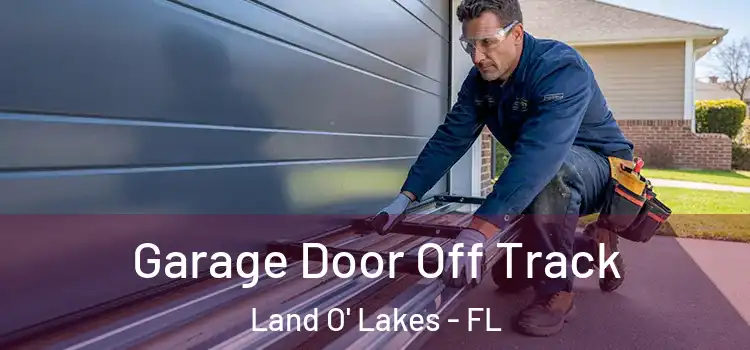  Garage Door Off Track Land O' Lakes - FL