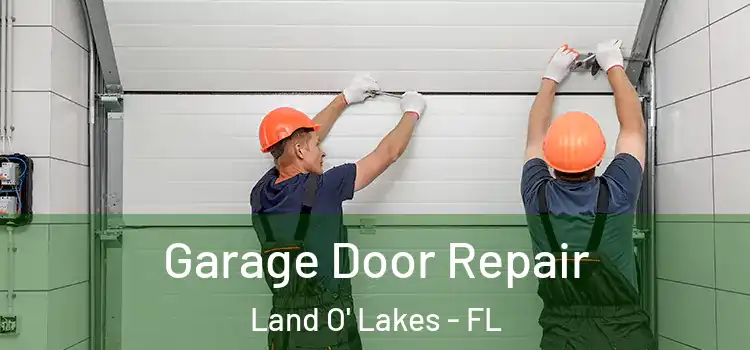  Garage Door Repair Land O' Lakes - FL