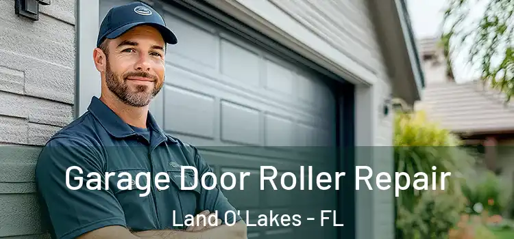  Garage Door Roller Repair Land O' Lakes - FL