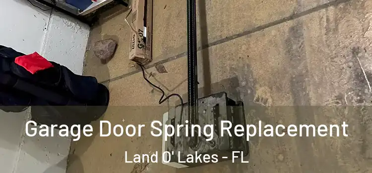  Garage Door Spring Replacement Land O' Lakes - FL