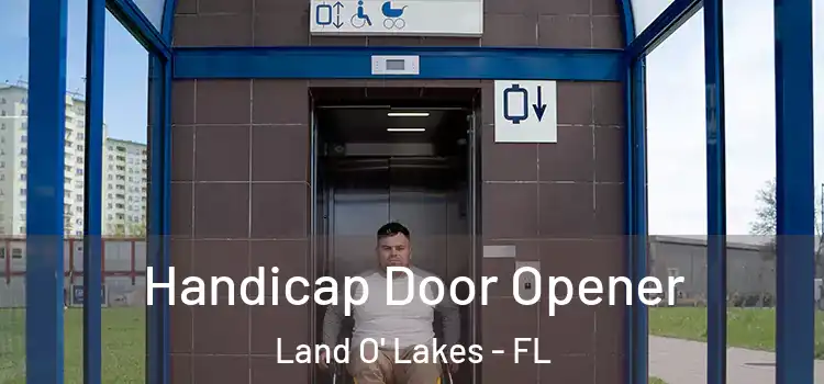  Handicap Door Opener Land O' Lakes - FL