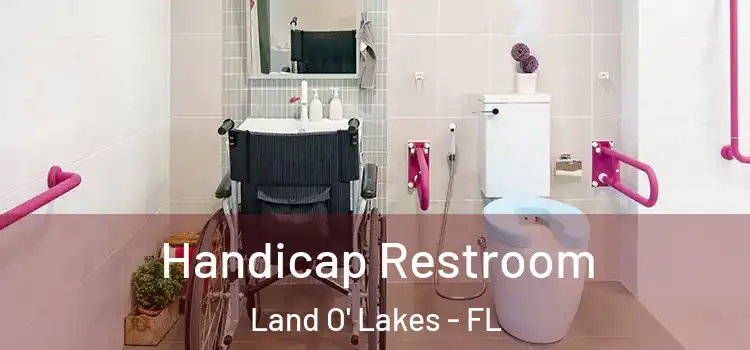  Handicap Restroom Land O' Lakes - FL