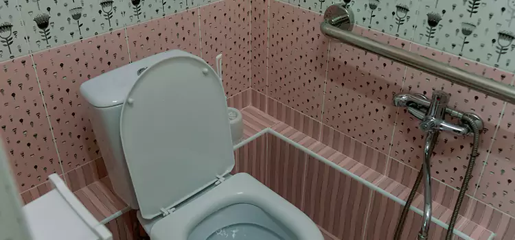 Meeting Diverse Needs With Accessible Restroom Solutions in Land O' Lakes, FL