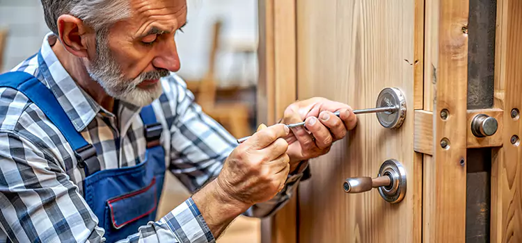 Mortise Replacement Lock Land O' Lakes