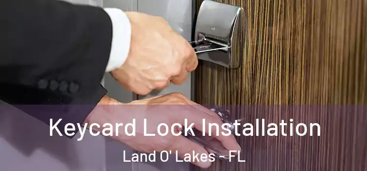 Keycard Lock Installation Land O' Lakes - FL