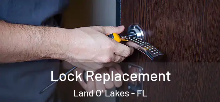  Lock Replacement Land O' Lakes - FL