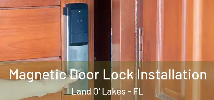  Magnetic Door Lock Installation Land O' Lakes - FL