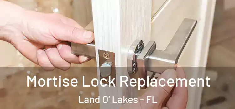 Mortise Lock Replacement Land O' Lakes - FL