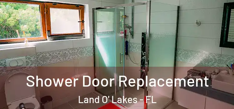 Shower Door Replacement Land O' Lakes - FL