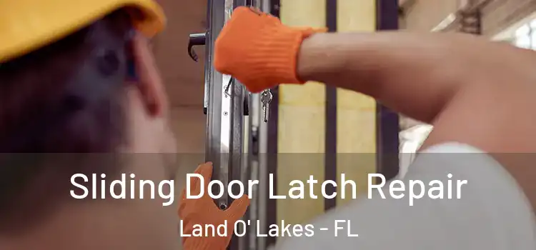  Sliding Door Latch Repair Land O' Lakes - FL