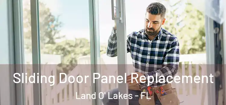  Sliding Door Panel Replacement Land O' Lakes - FL