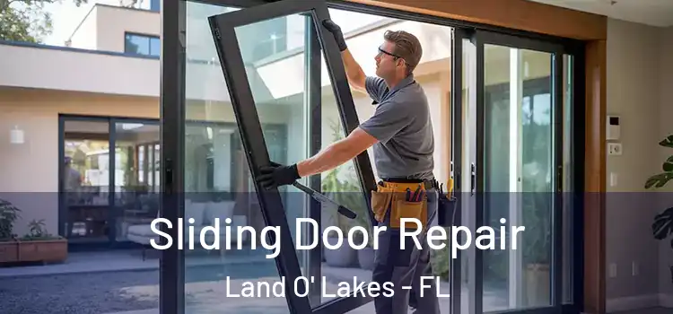  Sliding Door Repair Land O' Lakes - FL