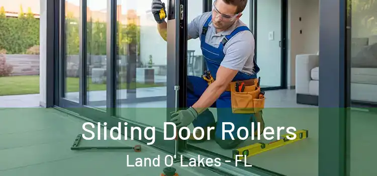 Sliding Door Rollers Land O' Lakes - FL