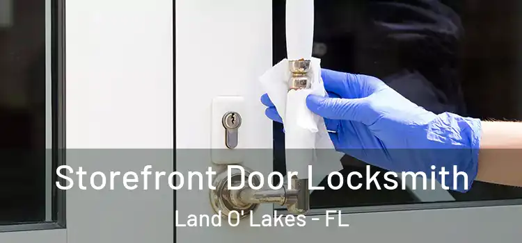 Storefront Door Locksmith Land O' Lakes - FL