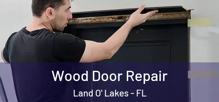  Wood Door Repair Land O' Lakes - FL