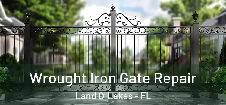  Wrought Iron Gate Repair Land O' Lakes - FL